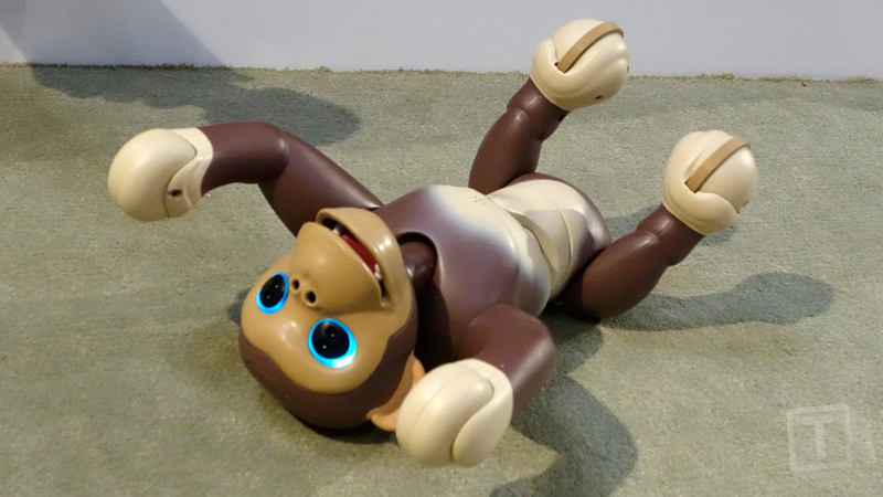 Illustration for article titled The Zoomer Robot Chimp Stands and Balances on Two Feet Better Than a Toddler Can